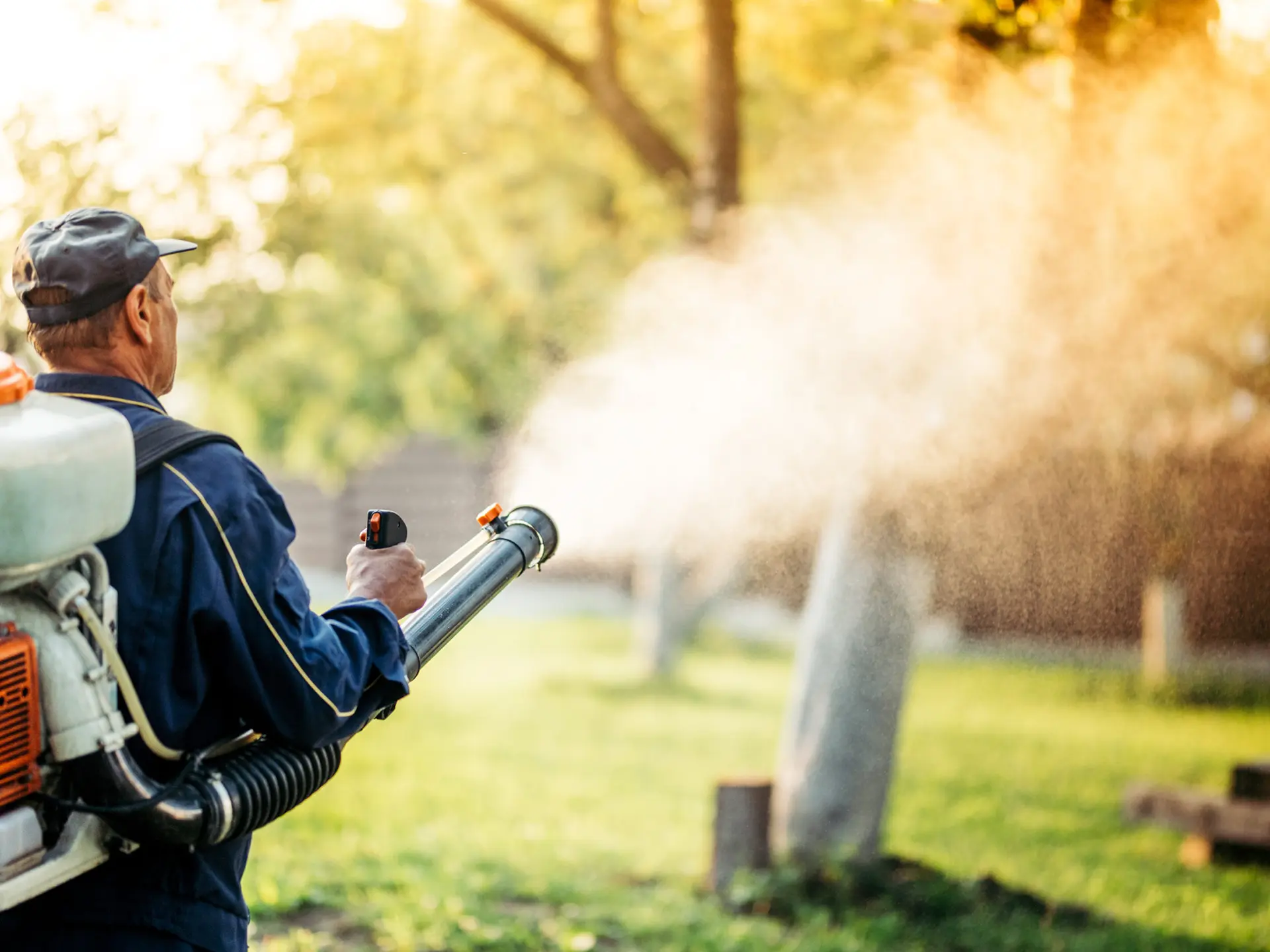 Mosquito Pest Control